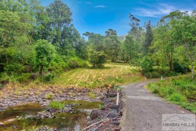 Farm For Sale - NSW - Terania Creek - 2480 - Rare opportunity on 106 acres!  (Image 2)