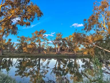 Farm For Sale - NSW - Pomona - 2648 - Peace & tranquility with river frontage!  (Image 2)