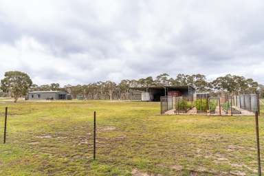 Farm For Sale - NSW - Oallen - 2622 - Mogo magic  (Image 2)