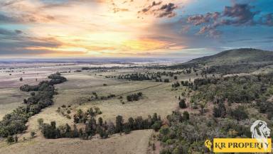 Farm For Sale - NSW - Tarriaro - 2390 - ALMOST 3000 ACRES OF GRAZING COUNTRY IN THE FOOTHILLS!!  (Image 2)