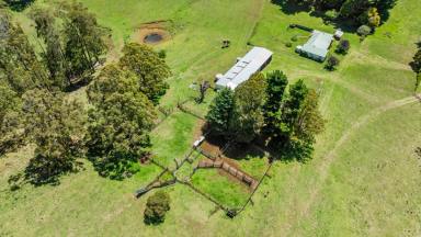 Farm Auction - QLD - Nowendoc - 2354 - Tightly held high rainfall grazing country  (Image 2)