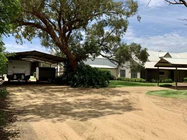 Farm For Sale - NSW - Narromine - 2821 - 25 Acre Irrigated Lucerne Farm  (Image 2)