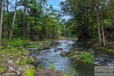 Farm Sold - NSW - Terania Creek - 2480 - Experience Serene Living in a Lush Rainforest Valley!  (Image 2)