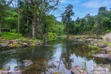 Farm Sold - NSW - Terania Creek - 2480 - Experience Serene Living in a Lush Rainforest Valley!  (Image 2)