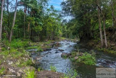 Farm For Sale - NSW - Terania Creek - 2480 - Experience Serene Living in a Lush Rainforest Valley!  (Image 2)
