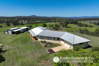 Farm For Sale - QLD - Beaudesert - 4285 - All the hard work is done - move straight in!  (Image 2)