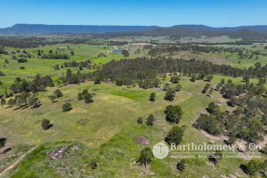 Farm For Sale - QLD - Beaudesert - 4285 - A blank canvas to build your dream  (Image 2)
