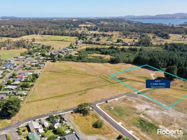 Farm For Sale - TAS - Beaconsfield - 7270 - Room to Move  (Image 2)