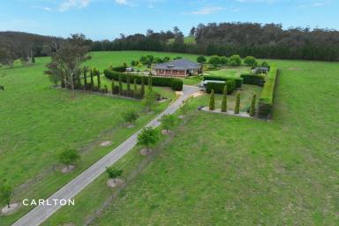 Farm For Sale - NSW - Marulan - 2579 - Business Opportunity for Farming Lifestyle & Cashflow  (Image 2)