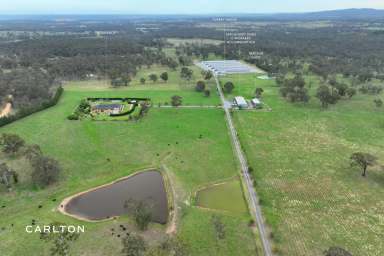 Farm For Sale - NSW - Marulan - 2579 - Lifestyle Farming with a Guaranteed Income  (Image 2)