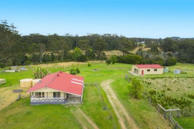 Farm For Sale - NSW - Kundabung - 2441 - The Perfect Hobby Farm - Thrive and Prosper  (Image 2)