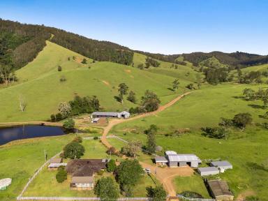 Farm Sold - NSW - Belbora - 2422 - Cattle Station Elegance Unveiled  (Image 2)