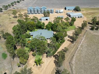 Farm For Sale - NSW - Moree - 2400 - Grain Production Powerhouse  (Image 2)