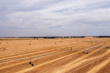 Farm For Sale - VIC - Torrumbarry - 3562 - INSTITUTIONAL SCALE CROPPING & SECURE WATER ENTITLEMENTS (2,113ML*)  (Image 2)