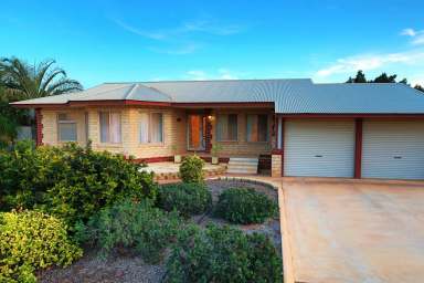 Farm For Sale - WA - East Carnarvon - 6701 - Executive Home, 2 Quality Units, Extensive Multi Use Sheds in private estate.  (Image 2)