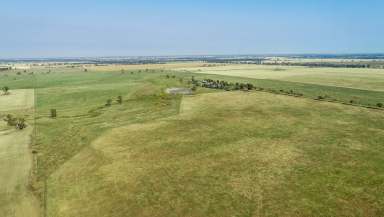 Farm Sold - NSW - Narromine - 2821 - Affordable Livestock & Farming Country Close to Narromine  (Image 2)