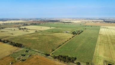 Farm Sold - NSW - Narromine - 2821 - Affordable Livestock & Farming Country Close to Narromine  (Image 2)