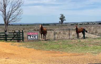 Farm Sold - NSW - Dubbo - 2830 - "Woodstock" - An Outstanding 100 acre Farmlet !  (Image 2)