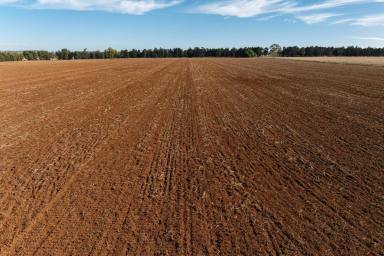 Farm Sold - NSW - Wagga Wagga - 2650 - Prime Riverina Farming Country  (Image 2)
