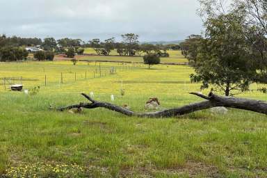 Farm Sold - WA - Bejoording - 6566 - Tranquil Acreage Living at 30 Walkey Close, Bejoording.  (Image 2)