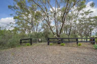 Farm Sold - NSW - Singleton - 2330 - MUST BE SOLD - OWNERS HAVE RELOCATED  (Image 2)