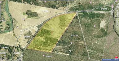 Farm Sold - NSW - Wog Wog - 2622 - 114 ACRE COUNTRY RETREAT, VIEWS, DWELLING ENTITLEMENT TO BUILD YOUR DREAM HOME, ROAD FRONT, SHED, FIREPLACE, BACKS ONTO NATIONAL PARK, ARE YOU READY?  (Image 2)