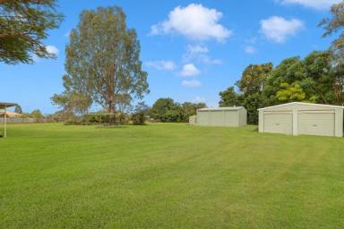 Farm Sold - QLD - Bellmere - 4510 - TWO ACRES IN BELLMERE WITH A BIG HOME & SHEDS!!!  (Image 2)