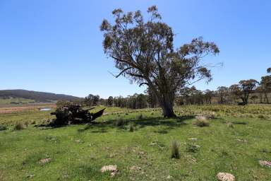 Farm Sold - NSW - Delegate - 2633 - Unique Grazing opportunity!  (Image 2)