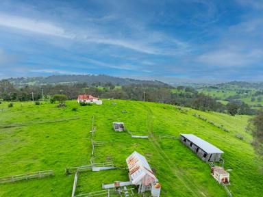 Farm For Sale - NSW - Bega - 2550 - “EENALLA” - 153 ACRES CLOSE TO TOWN  (Image 2)