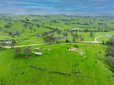 Farm Sold - NSW - Bega - 2550 - “EENALLA” - 153 ACRES CLOSE TO TOWN  (Image 2)