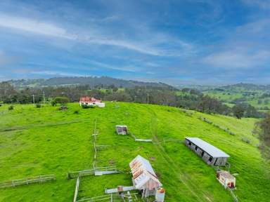 Farm Sold - NSW - Bega - 2550 - “EENALLA” - 153 ACRES CLOSE TO TOWN  (Image 2)