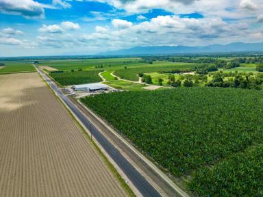 Farm Sold - QLD - Jarra Creek - 4854 - Very large established Tully area Banana Farm parcel for sale by EOI closing 29/01/2024  (Image 2)