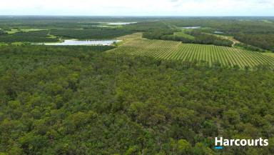 Farm For Sale - QLD - Abington - 4660 - 90 Acres of Pure Lifestyle Close to Town  (Image 2)