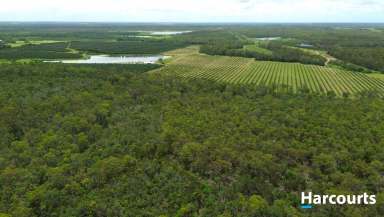 Farm For Sale - QLD - Abington - 4660 - 90 Acres of Pure Lifestyle Close to Town  (Image 2)