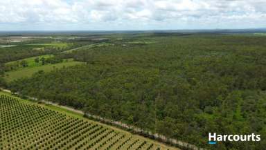 Farm Sold - QLD - Abington - 4660 - 90 Acres of Pure Lifestyle Close to Town  (Image 2)