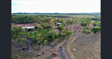 Farm For Sale - NT - Adelaide River - 0846 - Rural lifestyle with income streams!  (Image 2)