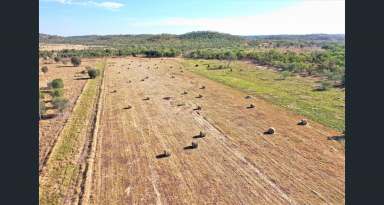 Farm For Sale - NT - Adelaide River - 0846 - Rural lifestyle with income streams!  (Image 2)