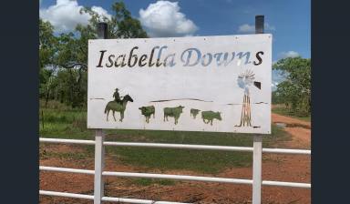 Farm For Sale - NT - Adelaide River - 0846 - DISCOVER THE POTENTIAL AT ISABELLA DOWNS: A PRIME 1,583* HECTARE FREEHOLD PROPERTY AWAITS!  (Image 2)