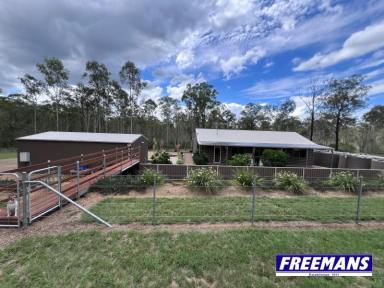 Farm For Sale - QLD - Wattle Camp - 4615 - 5.6 fully fenced acres complete privacy  (Image 2)