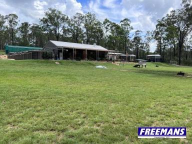 Farm For Sale - QLD - Wattle Camp - 4615 - 5.6 fully fenced acres complete privacy  (Image 2)