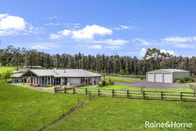 Farm For Sale - NSW - Budgong - 2577 - Unbeatable Value 100 Acre Property  (Image 2)