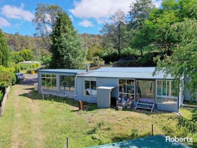 Farm For Sale - TAS - Lachlan - 7140 - 2  Houses for the Price of 1  (Image 2)