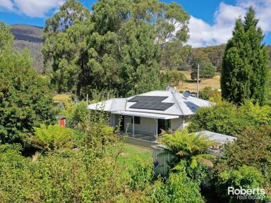 Farm For Sale - TAS - Lachlan - 7140 - A Spectacular Family Home on Offer  (Image 2)