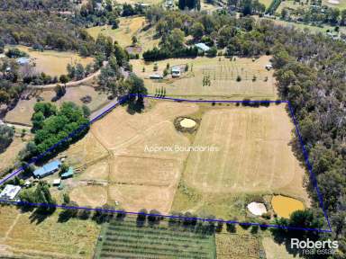 Farm For Sale - TAS - Lachlan - 7140 - 2  Houses for the Price of 1  (Image 2)