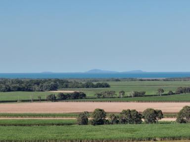 Farm For Sale - QLD - Carmila - 4739 - Panoramic Ocean & Rural Views - Lifestyle Block  (Image 2)