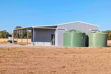 Farm For Sale - VIC - Violet Town - 3669 - "20 Acres of Bliss with an Approved Planning Permit for a Dwelling, A Completed 16 x 11 Steel Frame Shed, a Large Dam and Captivating Views  (Image 2)