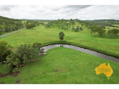Farm For Sale - QLD - Goomeri - 4601 - Ideal for both the commercial or stud cattle operation with secure water!  (Image 2)