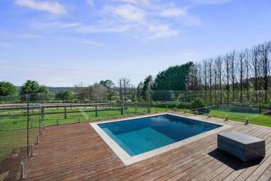 Farm For Sale - NSW - Woodlands - 2575 - "Woodlands View" An Estate of Distinction  (Image 2)
