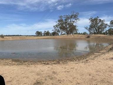Farm For Sale - NSW - Coonamble - 2829 - Open Grazing Country  (Image 2)