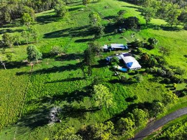 Farm For Sale - NSW - Casino - 2470 - " LYNBURN"  (Image 2)